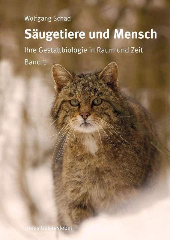 Säugetiere und Mensch. 2 Bände: Ihre Gestaltbiologie in Raum und Zeit - Image 1