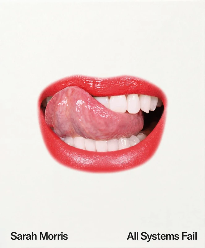 Sarah Morris: All Systems Fail - Image 1