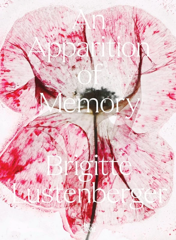 Brigitte Lustenberger: An Apparition of Memory - Image 1