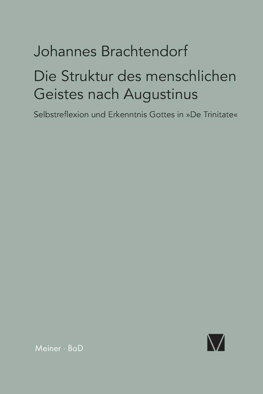 Selbstrefelexion und Erkenntnis Gottes: Die Struktur des menschlichen Geistes nach Augustinus De Trinitate: 19 (Paradeigmata)
