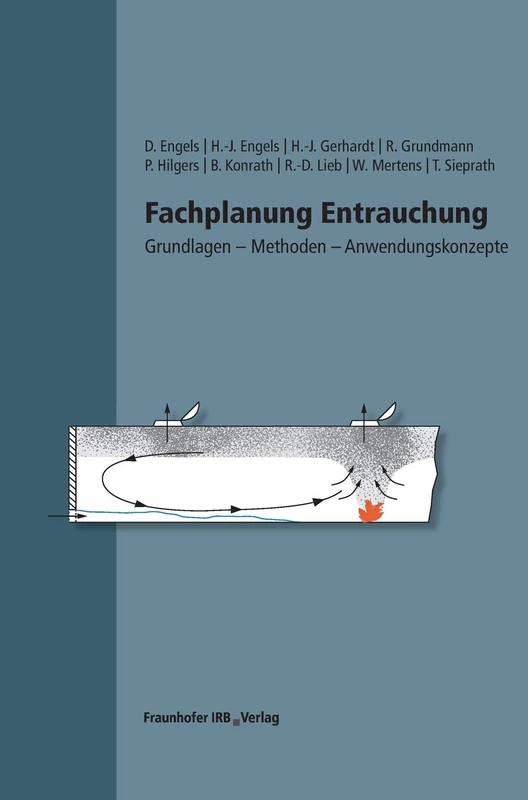 Fachplanung Entrauchung.: Grundlagen - Methoden - Anwendungskonzepte.