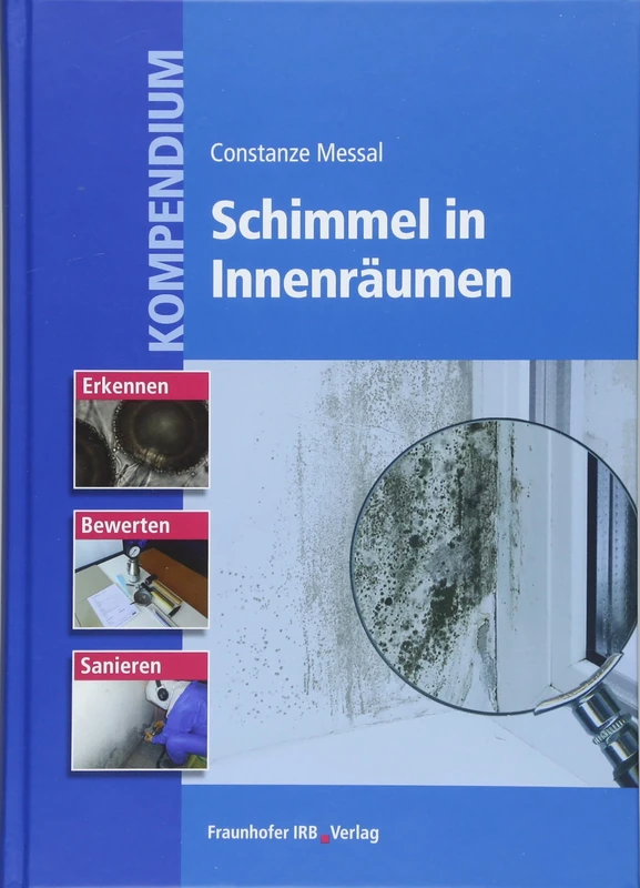 Kompendium Schimmel in Innenräumen: Erkennen, Bewerten und Sanieren