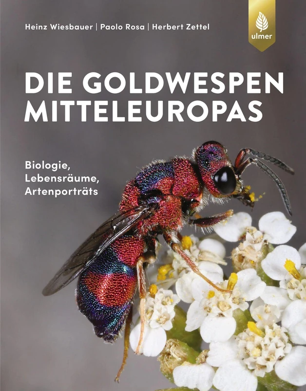 Die Goldwespen Mitteleuropas: Biologie, Lebensräume, Artenportraits - Image 1