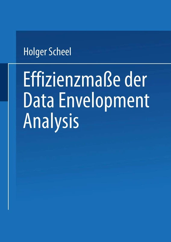 Effizienzmaße der Data Envelopment Analysis