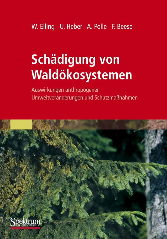 Schädigung von Waldökosystemen: Auswirkungen anthropogener Umweltveränderungen und Schutzmaßnahmen