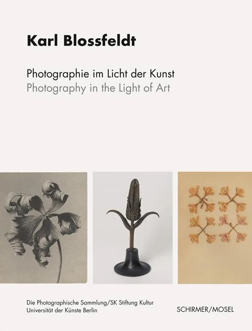 Karl Blossfeldt: Photography in the Light of Art: Der Gesamtbestand Karl Blossfeldt aus dem Archiv der Universität der Künste Berlin - Image 1