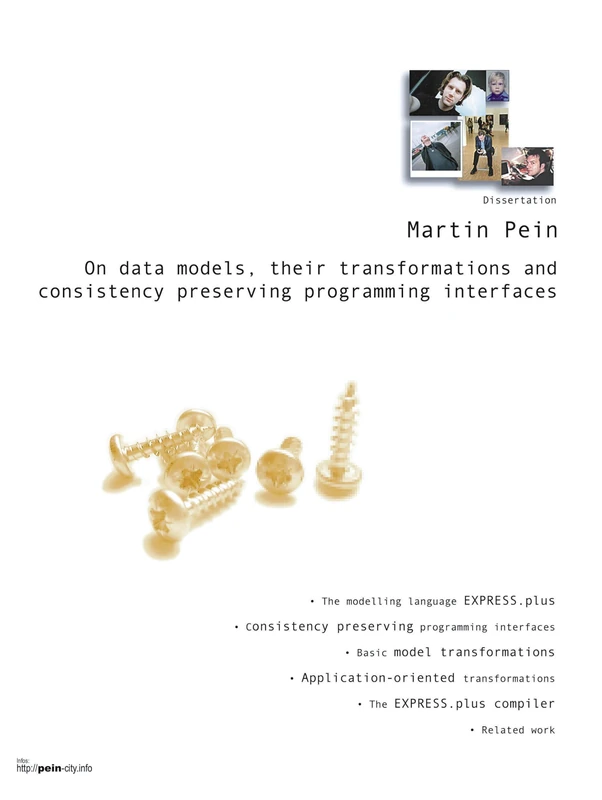 On data models, their transformations and consistency preserving programming interfaces