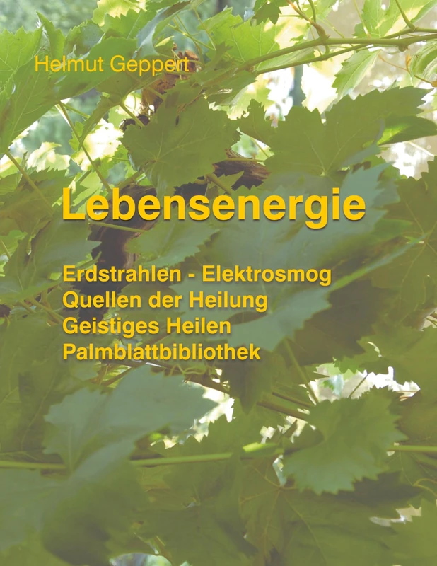 Lebensenergie: Erdstrahlen - Elektrosmog, Quellen der Heilung, Geistiges Heilen, Palmblattbibliothek