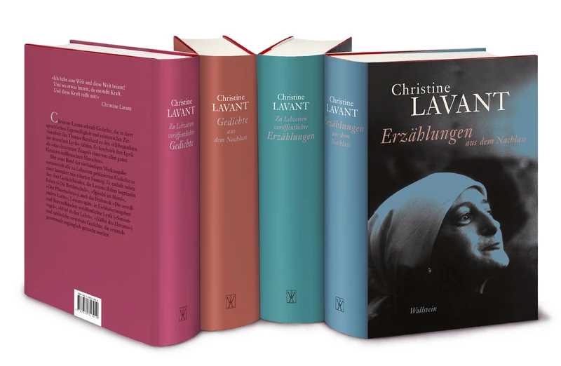 Werke: Zu Lebzeiten veröffentliche Erzählungen - Gedichte / Erzählugen - Gedichte aus dem Nachlass