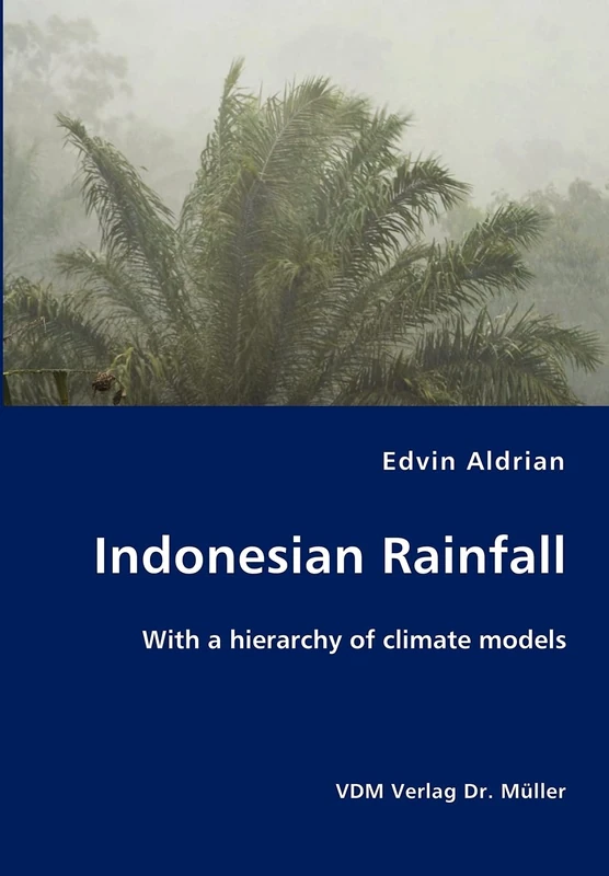 Indonesian Rainfall - Image 1