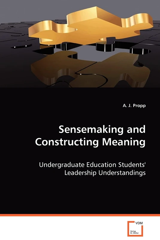 Sensemaking and Construction Meaning