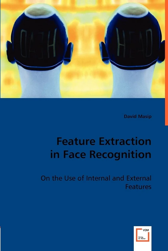 Feature Extraction in Face Recognition: On the Use of Internal and External Features