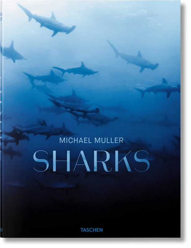 Michael Muller: Sharks, Face-to-Face with the Ocean's Endangered Predator