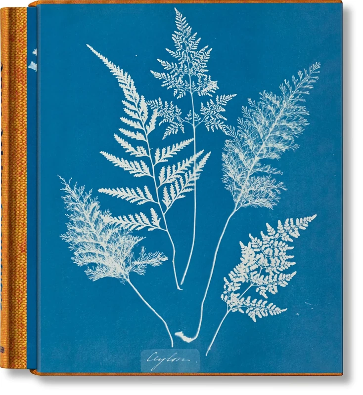 Anna Atkins: Cyanotypes - Image 1