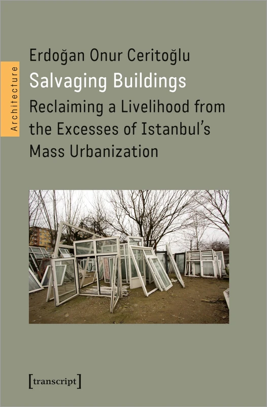 Salvaging Buildings: Reclaiming a Livelihood from the Excesses of Istanbul's Mass Urbanization (Architecture in Practice)