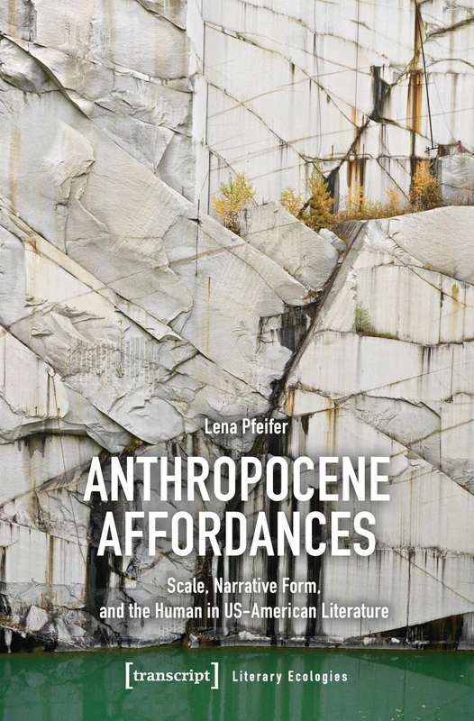 Anthropocene Affordances: Scale, Narrative Form, and the Human in US-American Literature (Literary Ecologies)