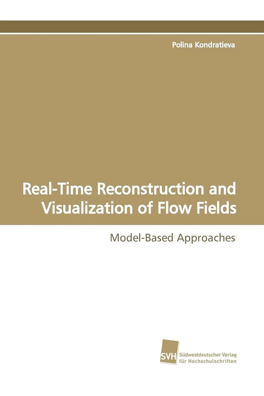 Real-Time Reconstruction and Visualization of Flow Fields: Model-Based Approaches
