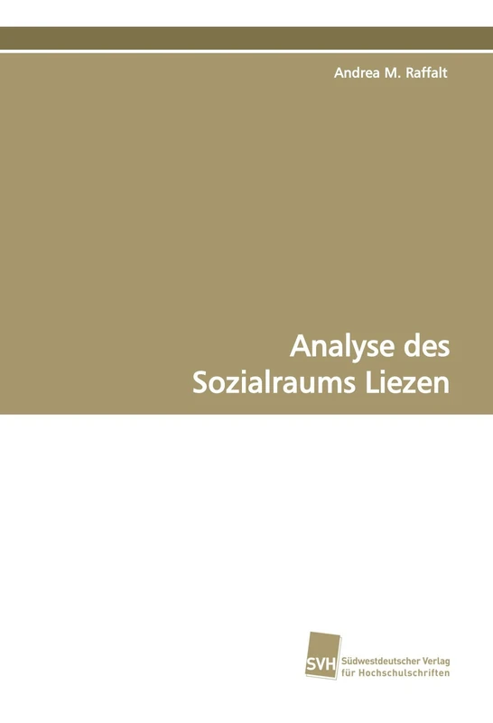 Analyse des Sozialraums Liezen