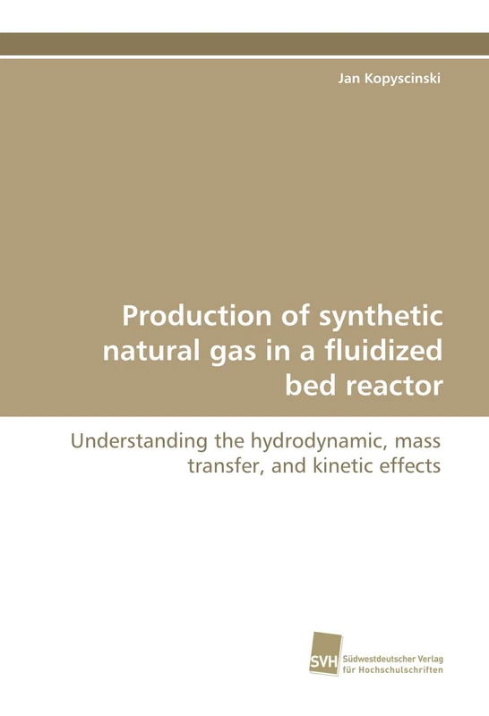 Production of synthetic natural gas in a fluidized bed reactor: Understanding the hydrodynamic, mass transfer, and kinetic effects - Image 1