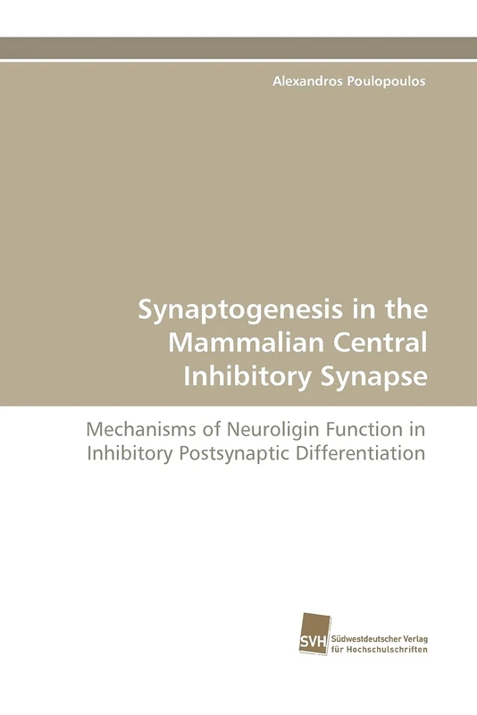 Synaptogenesis in the Mammalian Central Inhibitory Synapse: Mechanisms of Neuroligin Function in Inhibitory Postsynaptic Differentiation