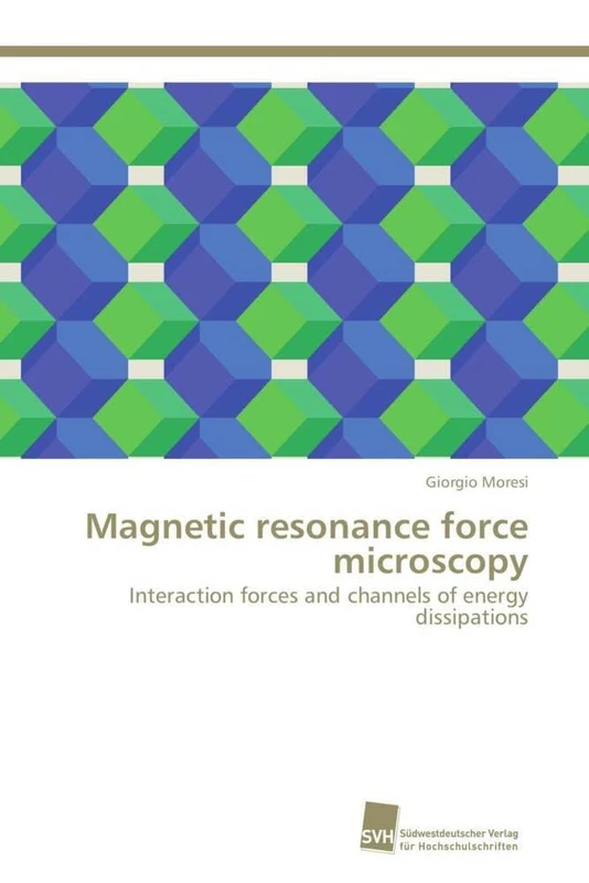 Magnetic resonance force microscopy: Interaction forces and channels of energy dissipations