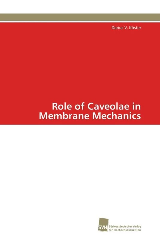 Role of Caveolae in Membrane Mechanics