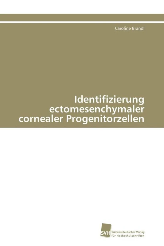 Identifizierung ectomesenchymaler cornealer Progenitorzellen - Image 1