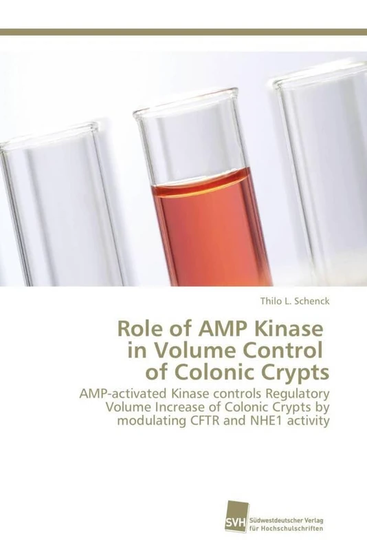 Role of AMP Kinase in Volume Control of Colonic Crypts: AMP-activated Kinase controls Regulatory Volume Increase of Colonic Crypts by modulating CFTR and NHE1 activity - Image 1