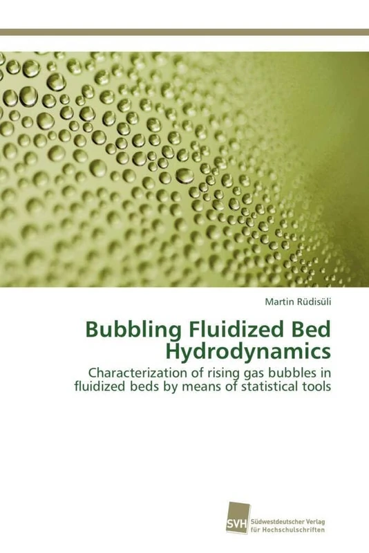 Bubbling Fluidized Bed Hydrodynamics: Characterization of rising gas bubbles in fluidized beds by means of statistical tools
