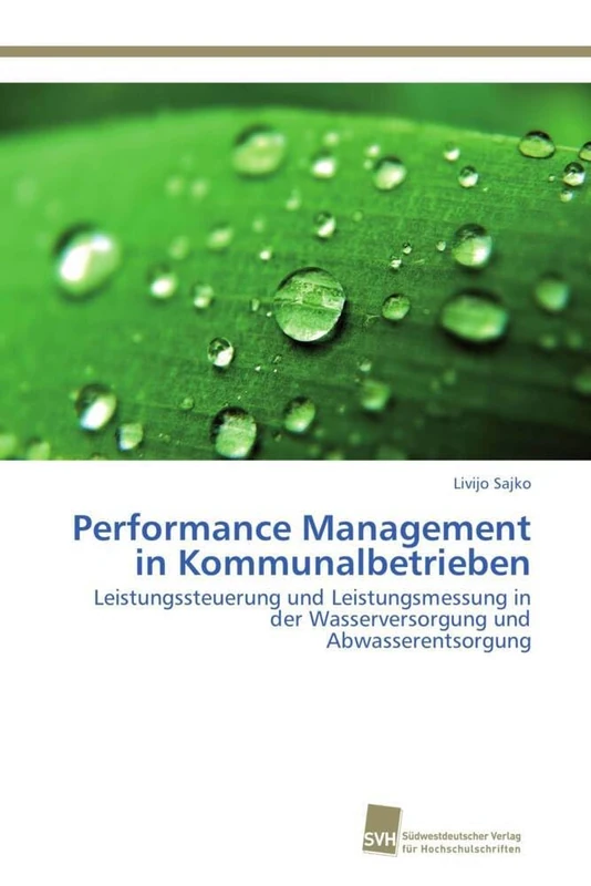 Performance Management in Kommunalbetrieben: Leistungssteuerung und Leistungsmessung in der Wasserversorgung und Abwasserentsorgung