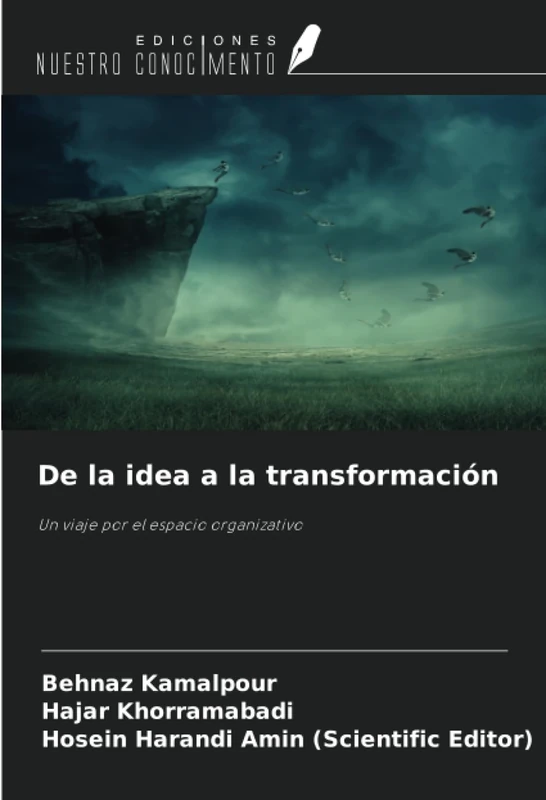 De la idea a la transformación: Un viaje por el espacio organizativo