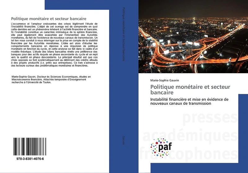 Politique monétaire et secteur bancaire: Instabilité financière et mise en évidence de nouveaux canaux de transmission