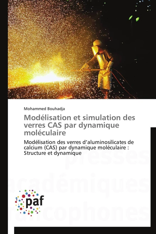 Modélisation et simulation des verres CAS par dynamique moléculaire: Modélisation des verres d’aluminosilicates de calcium (CAS) par dynamique moléculaire : Structure et dynamique (Omn.Pres.Franc.)