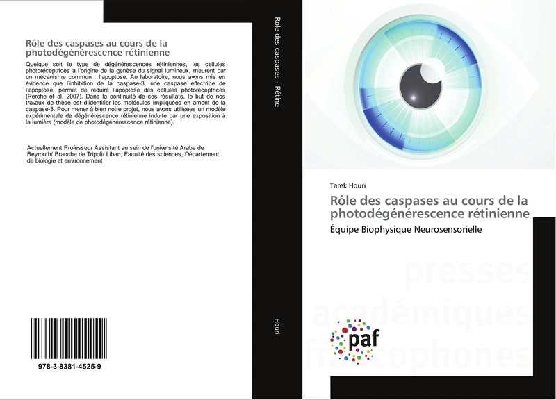 Rôle des caspases au cours de la photodégénérescence rétinienne: Équipe Biophysique Neurosensorielle - Image 1