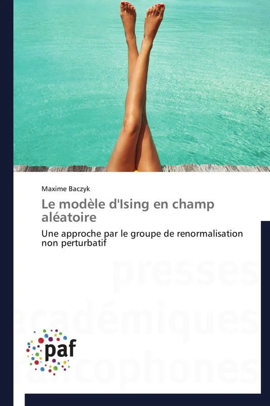 Le modèle d'Ising en champ aléatoire: Une approche par le groupe de renormalisation non perturbatif (Omn.Pres.Franc.)