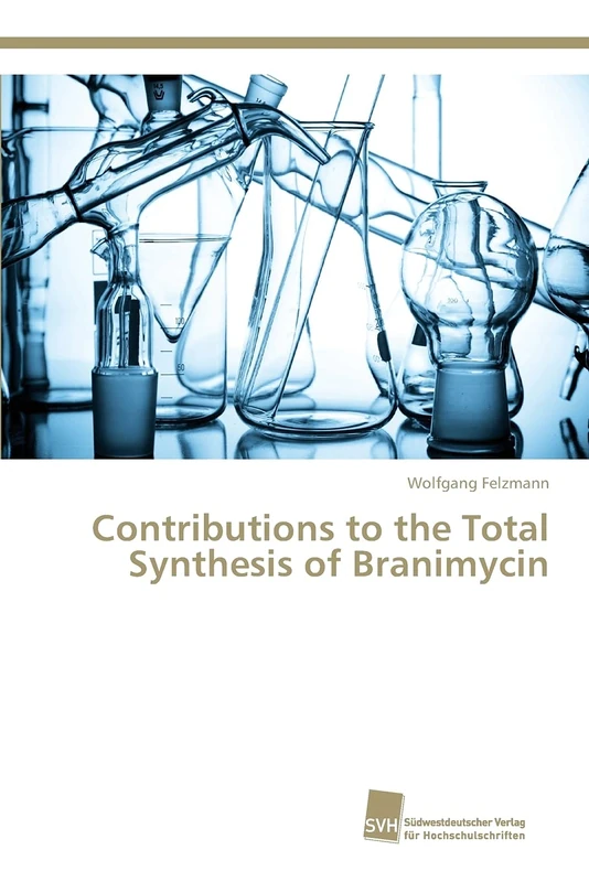 Contributions to the Total Synthesis of Branimycin - Image 1