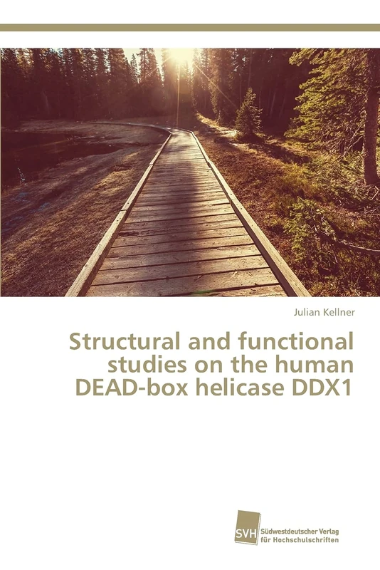 Structural and functional studies on the human DEAD-box helicase DDX1 - Image 1