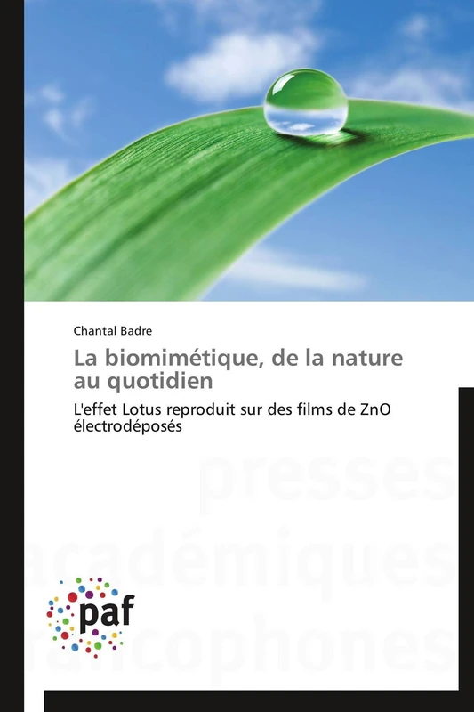 La biomimétique, de la nature au quotidien: L'effet Lotus reproduit sur des films de ZnO électrodéposés (Omn.Pres.Franc.) - Image 1