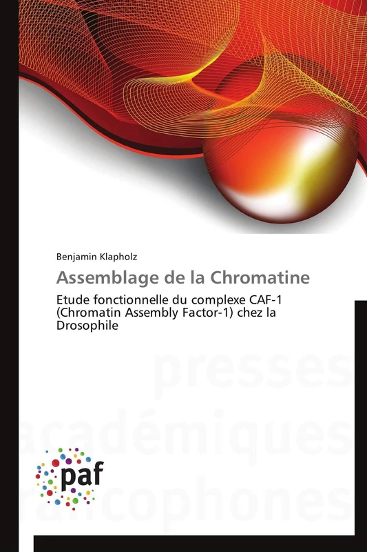 Assemblage de la Chromatine: Etude fonctionnelle du complexe CAF-1 (Chromatin Assembly Factor-1) chez la Drosophile - Image 1