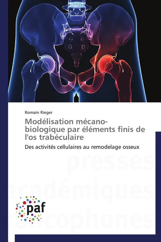 Modélisation mécano-biologique par éléments finis de l'os trabéculaire: Des activités cellulaires au remodelage osseux (Omn.Pres.Franc.)