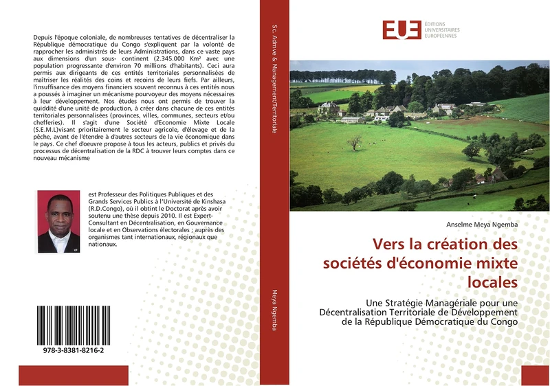 Vers la création des sociétés d'économie mixte locales: Une Stratégie Managériale pour une Décentralisation Territoriale de Développement de la République Démocratique du Congo