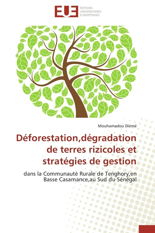 Déforestation,dégradation de terres rizicoles et stratégies de gestion: dans la Communauté Rurale de Tenghory,en Basse Casamance,au Sud du Sénégal (Omn.Univ.Europ.) - Image 1