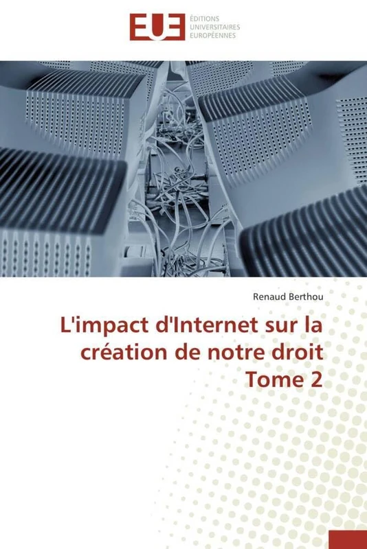 L'impact d'Internet sur la création de notre droit Tome 2 (Omn.Univ.Europ.)
