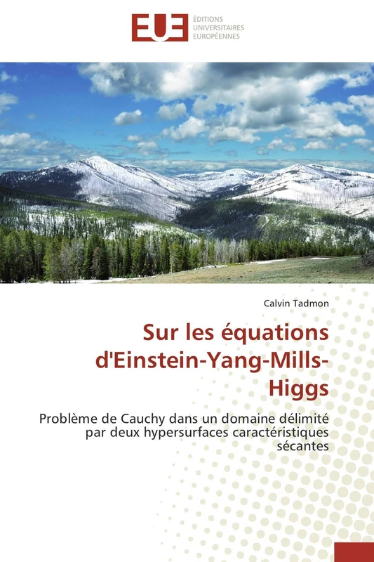 Sur les équations d'Einstein-Yang-Mills-Higgs: Problème de Cauchy dans un domaine délimité par deux hypersurfaces caractéristiques sécantes - Image 1