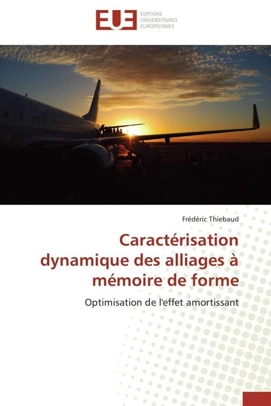 Caractérisation dynamique des alliages à mémoire de forme: Optimisation de l'effet amortissant - Image 1