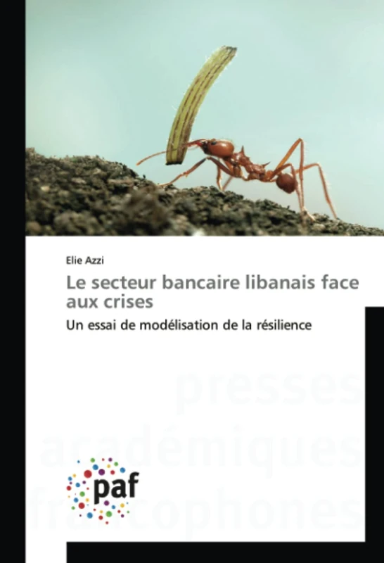 Le secteur bancaire libanais face aux crises: Un essai de modélisation de la résilience