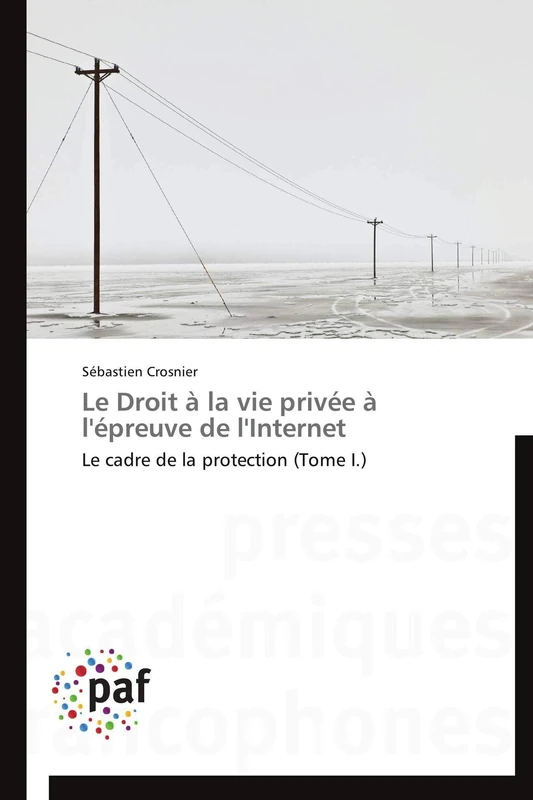 Le Droit à la vie privée à l'épreuve de l'Internet: Le cadre de la protection (Tome I.)
