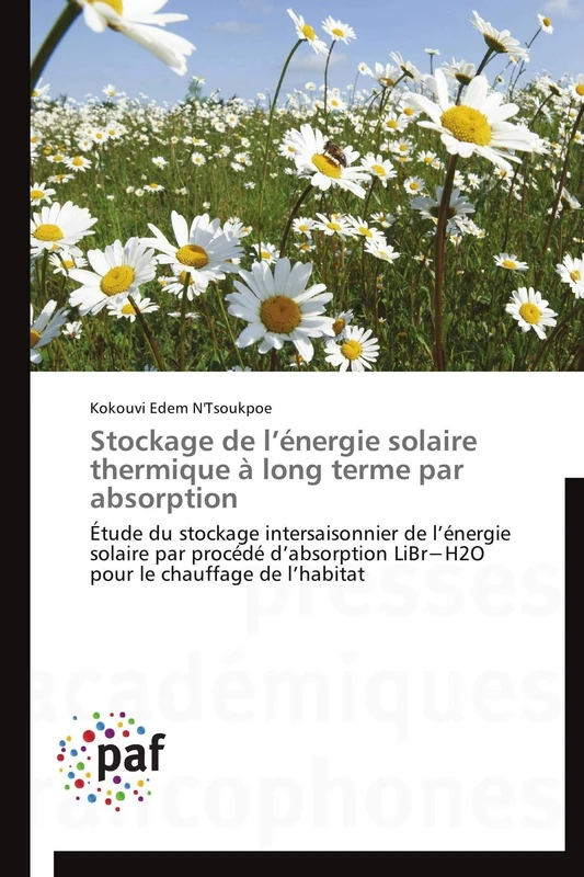 Stockage de l’énergie solaire thermique à long terme par absorption: Étude du stockage intersaisonnier de l’énergie solaire par procédé d’absorption ... le chauffage de l’habitat (Omn.Pres.Franc.)