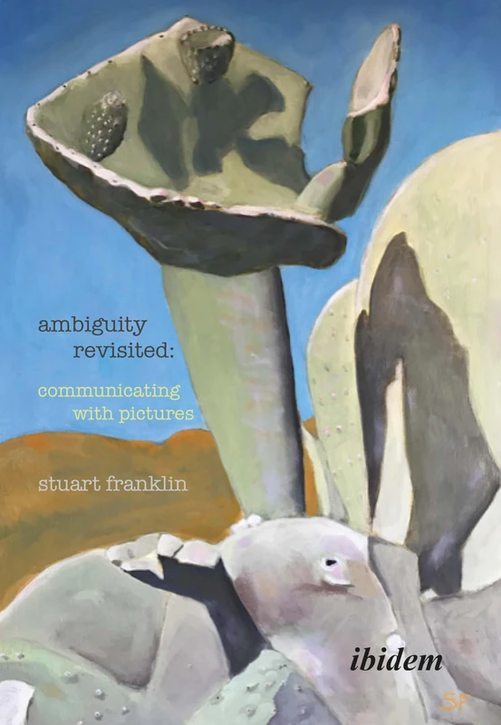 Ambiguity Revisited: Communicating with Pictures
