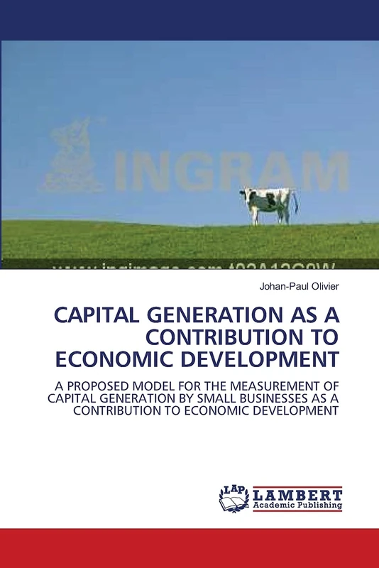 CAPITAL GENERATION AS A CONTRIBUTION TO ECONOMIC DEVELOPMENT: A PROPOSED MODEL FOR THE MEASUREMENT OF CAPITAL GENERATION BY SMALL BUSINESSES AS A CONTRIBUTION TO ECONOMIC DEVELOPMENT - Image 1